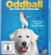 Oddball - Retter der Pinguine (BD & DVD)